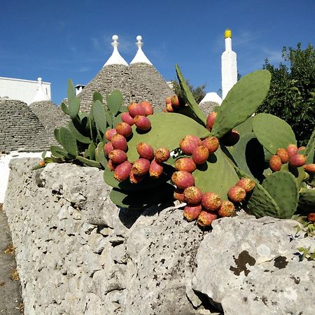 Bed & Breakfast La Collinetta Locorotondo Exterior photo