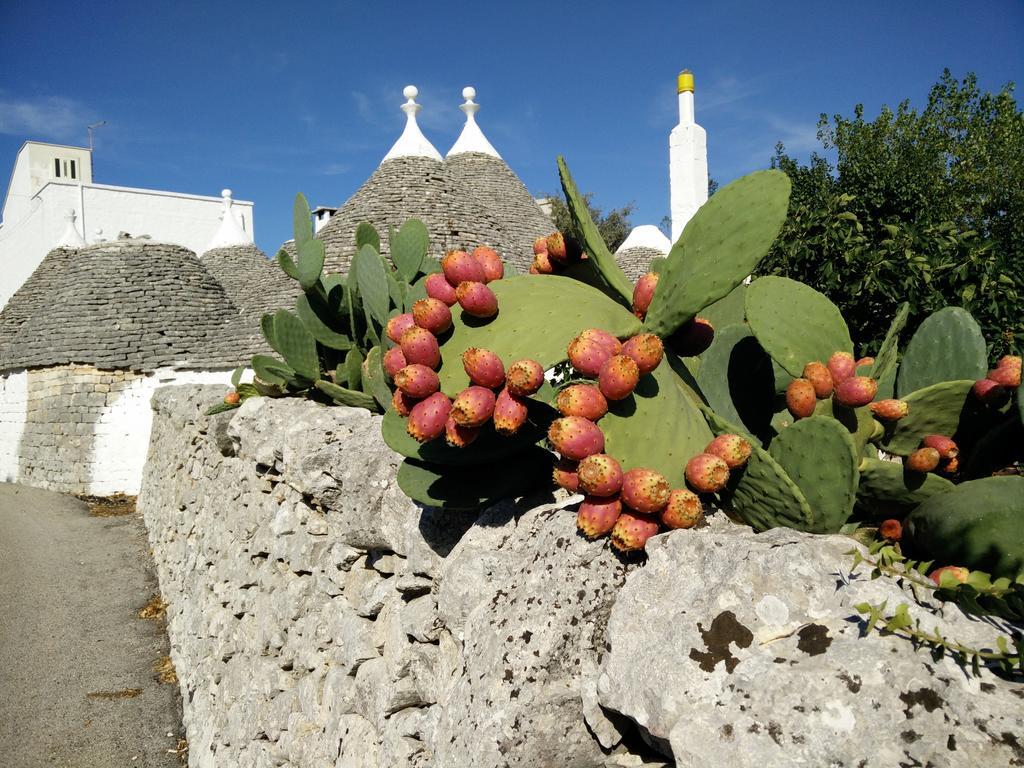 Bed & Breakfast La Collinetta Locorotondo Exterior photo